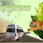 Jim Corbett Tour From Delhi