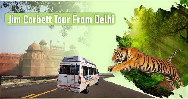How To Take Jim Corbett Tour From Delhi
