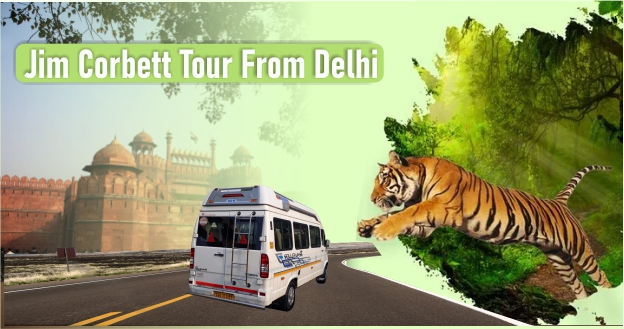How To Take Jim Corbett Tour From Delhi How To Take Jim Corbett Tour From Delhi