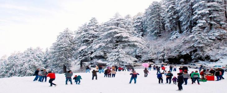 Visit Kufri in Shimla Tour Package