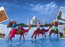 Experience Golden Triangle Voyage