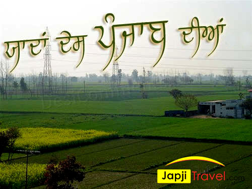 Book Now! Delhi Airport to Punjab Taxi