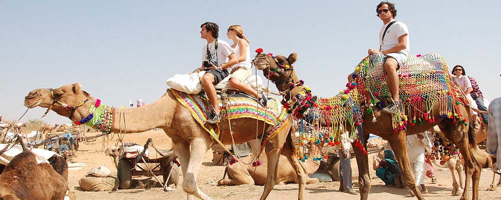 Rajasthan Travel Package