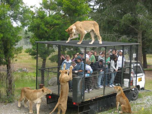 Jim Corbett Nainital Tour