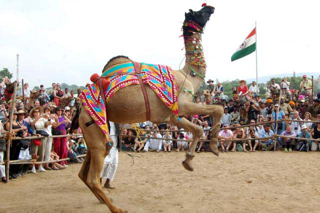 Captivating Places In Pushkar That Can’t Be Ignored Captivating Places In Pushkar That Can’t Be Ignored