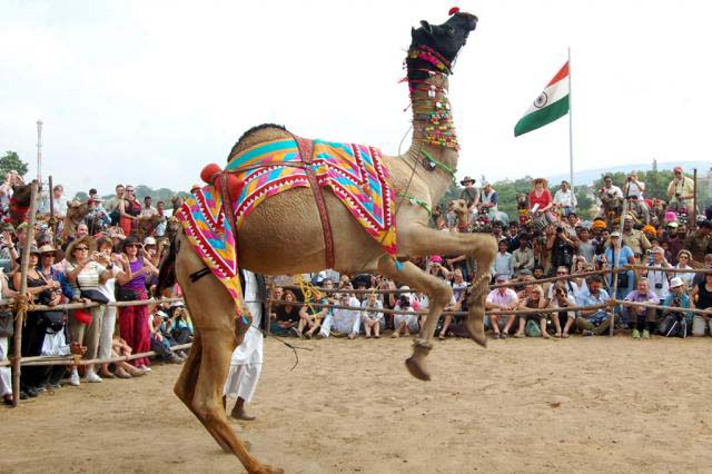 Jaipur Ajmer Pushkar Tour