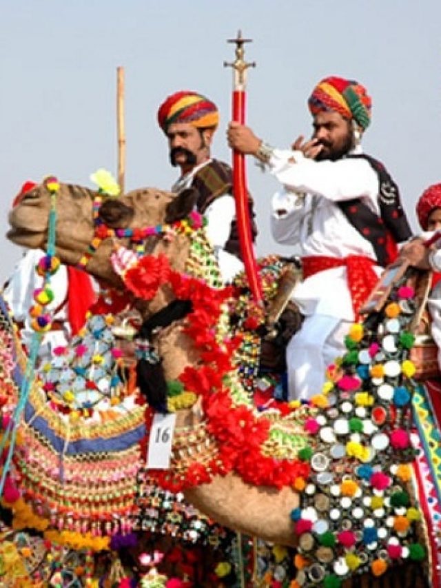 Pushkar Fair at Rajasthan