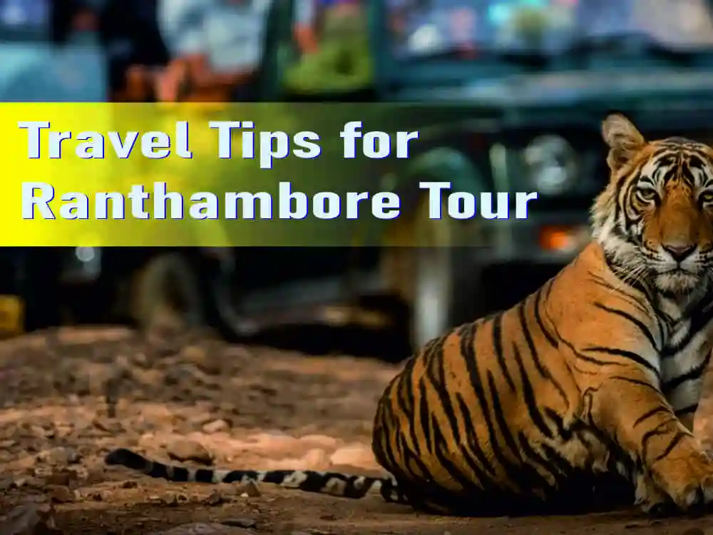 Travel Tips for Ranthambore Tour
