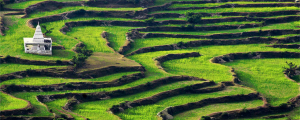 Enjoy at Ranikhet with family without keeping a check on your pocket Enjoy at Ranikhet with family without keeping a check on your pocket