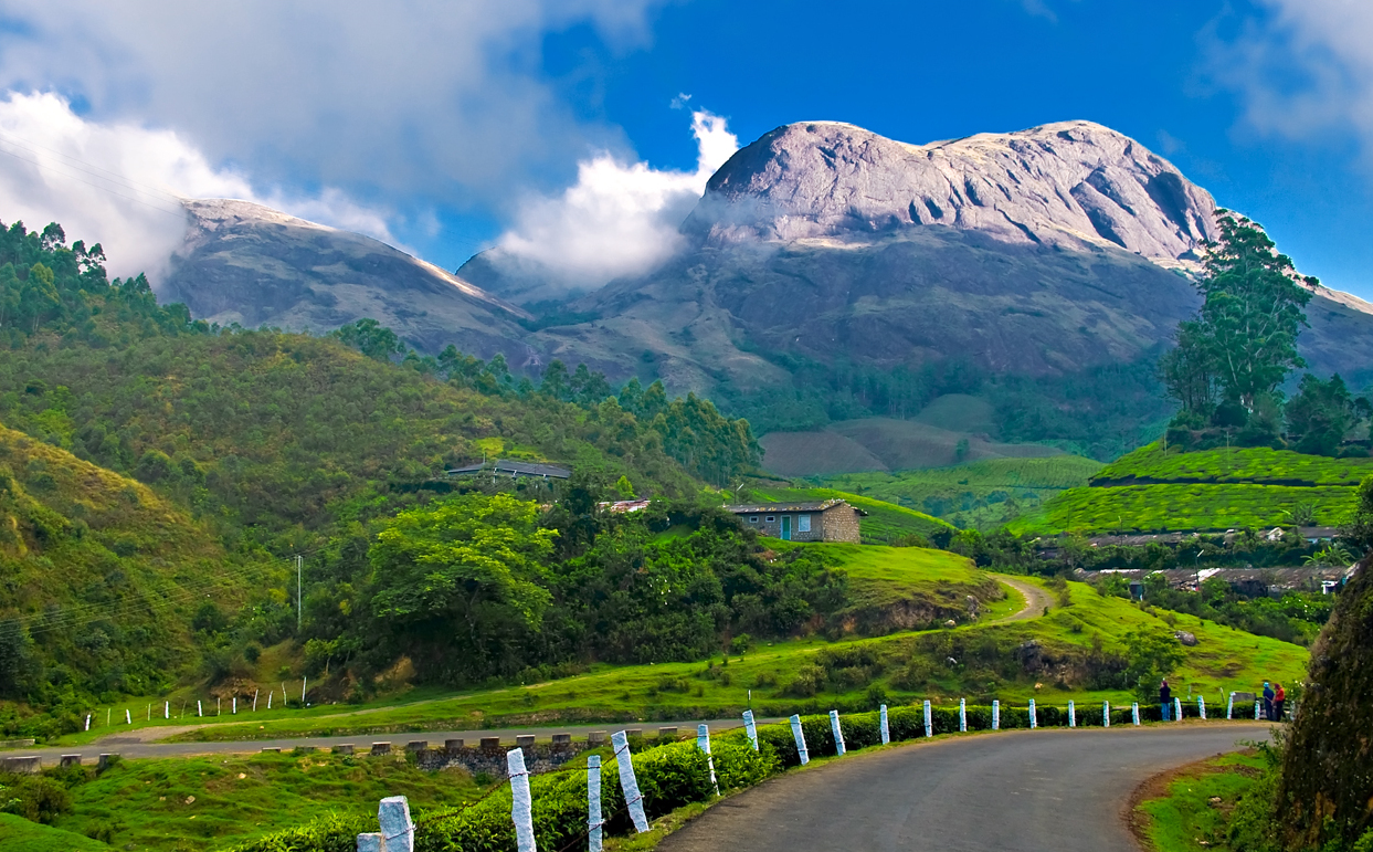 Munnar- The Scenic Beauty: Places, Elephant Passage, Tall & Spice Tree