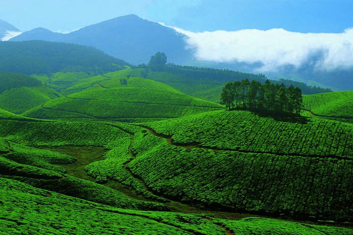 Kerala – an ideal dream destination amidst nature