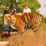 National Parks Near Delhi