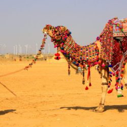 Top 5 Jaisalmer Sightseeing Places