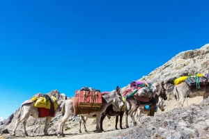 Information and advices for Amarnath Yatra