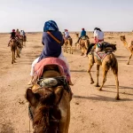 Camel and Yak Safaris