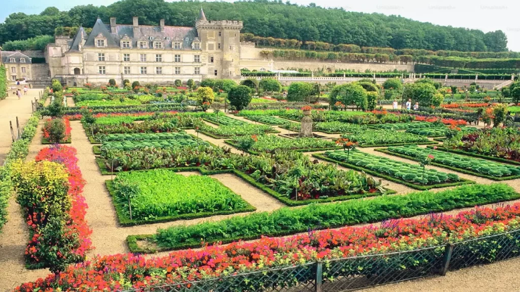 Château De Versailles