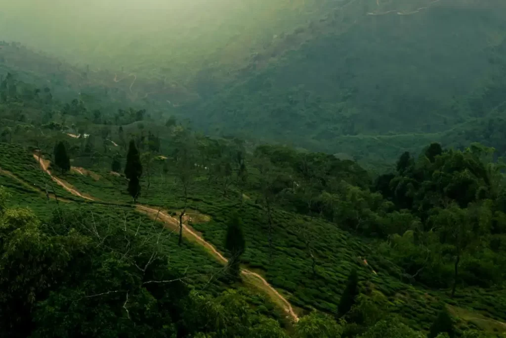 Darjeeling