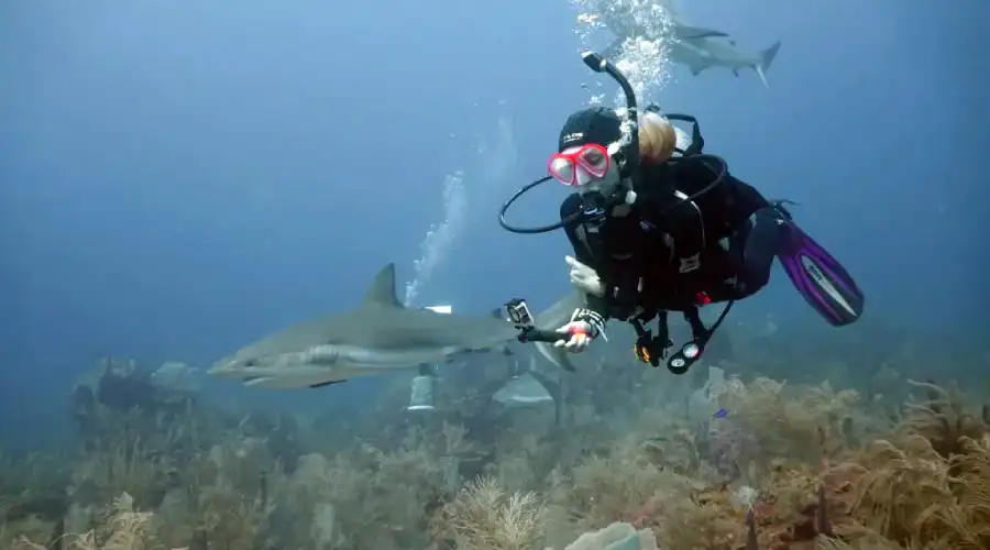 Grand Island (For Scuba Diving)
