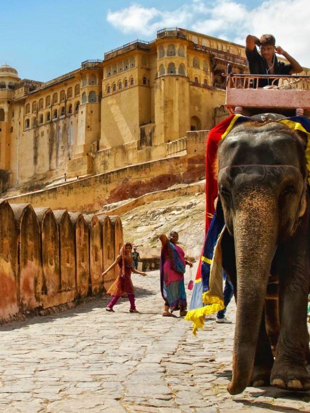 Amazing Facts about Amer Fort