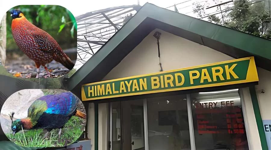 Himalayan Bird Park shimla