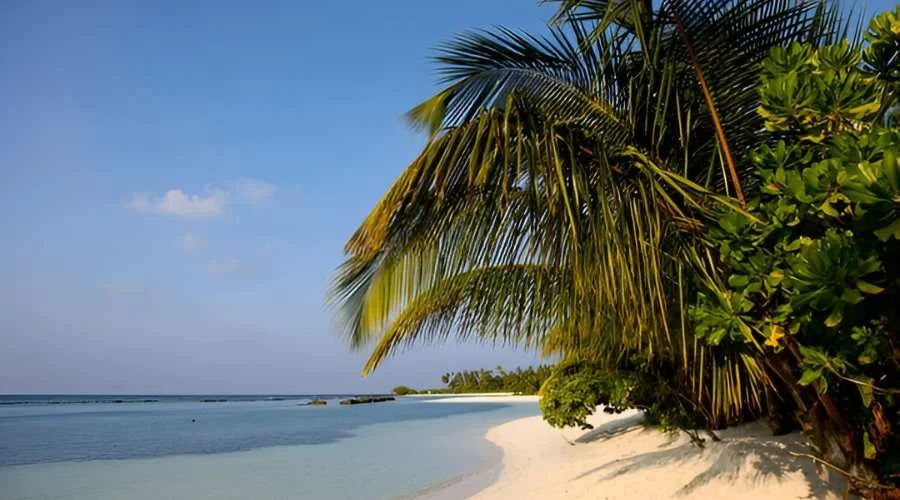 Kuredu Island