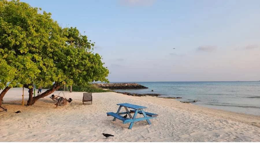 Maafushi Island