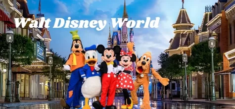 Best Places to Visit in Walt Disney World