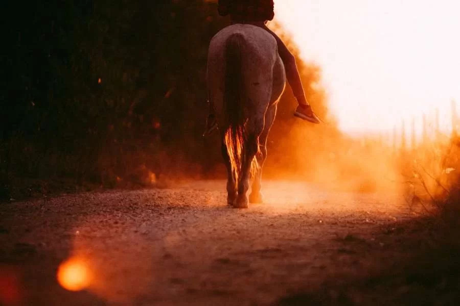 Bali- sunset horseback riding