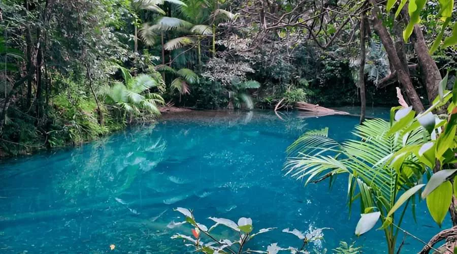Cooper Creek river in Australia