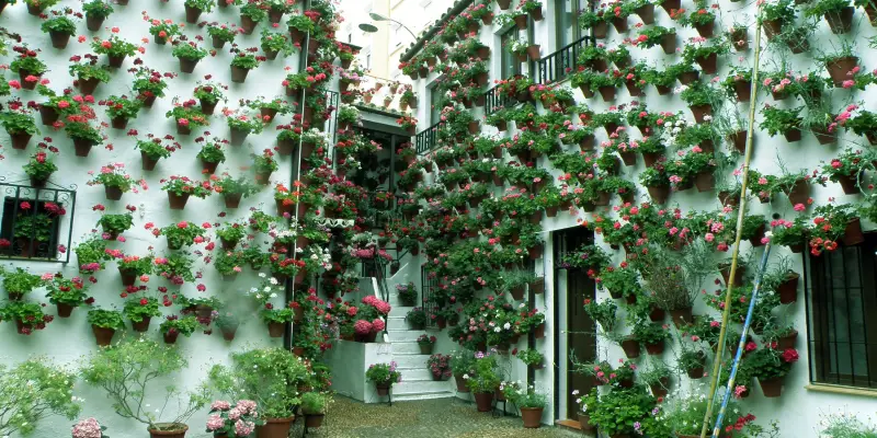 Cordoba Patios Festival