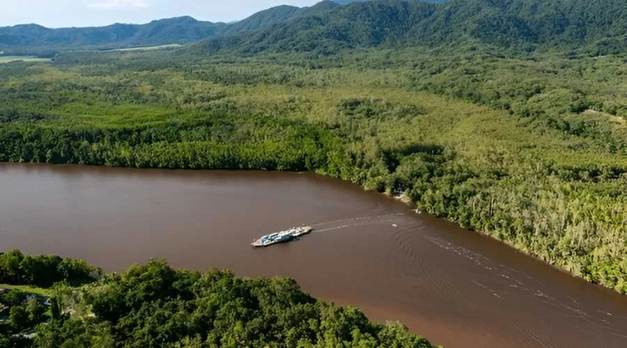 Daintree River