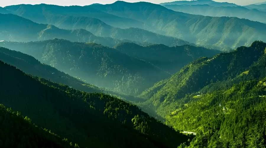 Green Valley - Shimla Kufri tour package