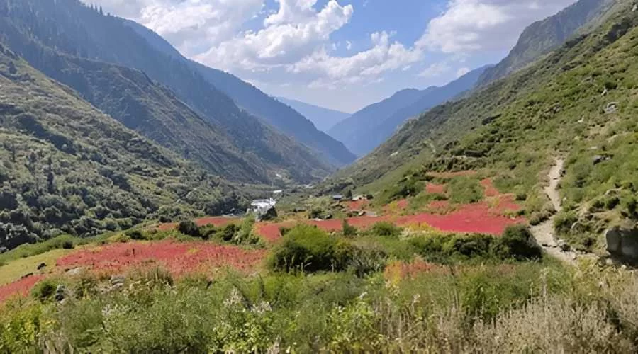 Har Ki Doon Trek tour in uttrakhand