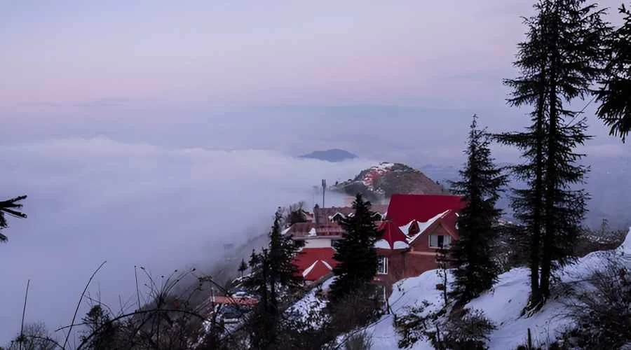 Fagu valley - Shimla Kufri tour package