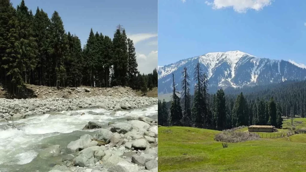 Doodhpathri kashmir - best places in kashmir