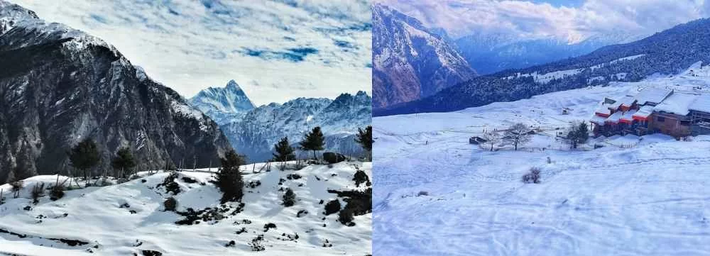 auli india