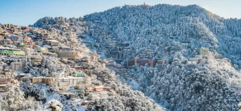 Travel Tips for Shimla in Winter Season