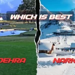 Which is best Naldehra or Narkanda?