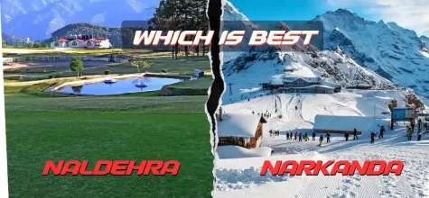 Which is best Naldehra or Narkanda?
