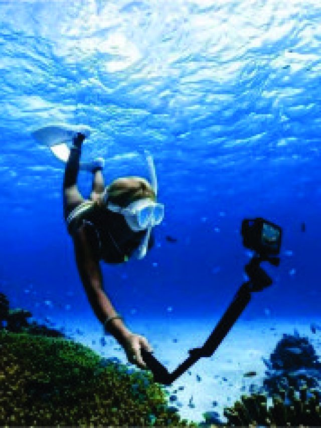 The top 8 swimming locations on earth Dive in!