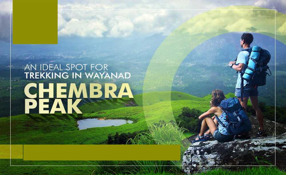 Chembra Peak Trekking