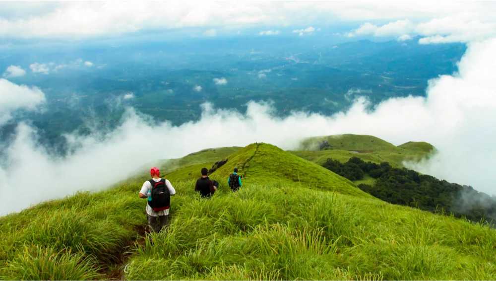 chembra peak trek phone number