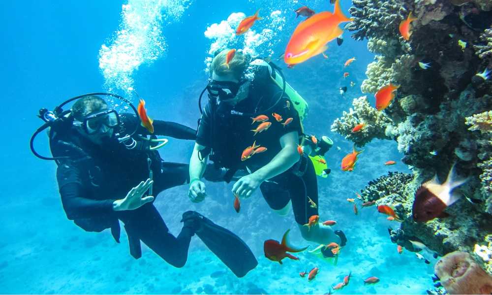 Scuba Diving in Kerala