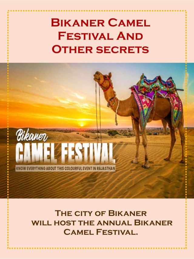Bikaner Camel Festival And Other secrets