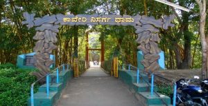 Places to Visit near Bangalore during Monsoon