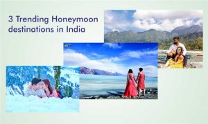 Best Honeymoon Places in India for a Perfect Romantic Trip