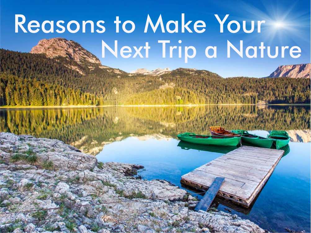 5 Reasons to Make Your Next Trip a Nature Vacation