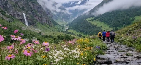 Valley of Flowers Travel Guide (2026): Budget Trip, Trek Route, Itinerary and Cost