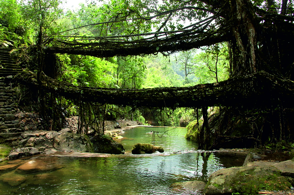 cherrapunji trip cost