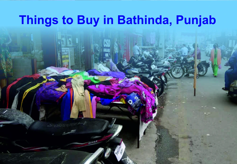 Things to Buy in Bathinda, Punjab
